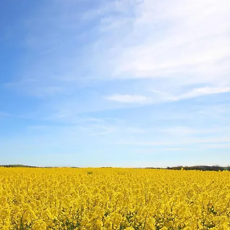 Haus Blick Zur See Ferienwohnung 12 Mit Sauna- Und Schwimmbadnutzung Im Ahoi Sellin Apartamento *